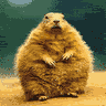 gopher